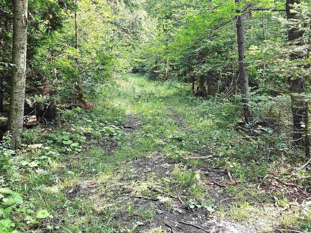 0 Andrews Road Holland VT 05830