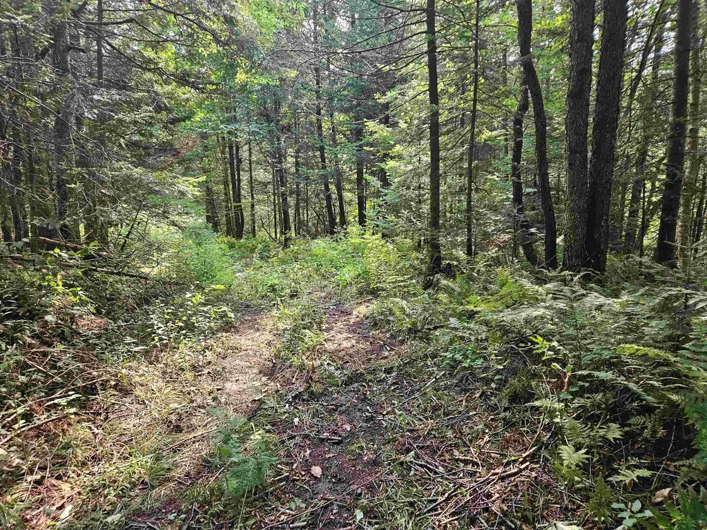 0 Andrews Road Holland VT 05830