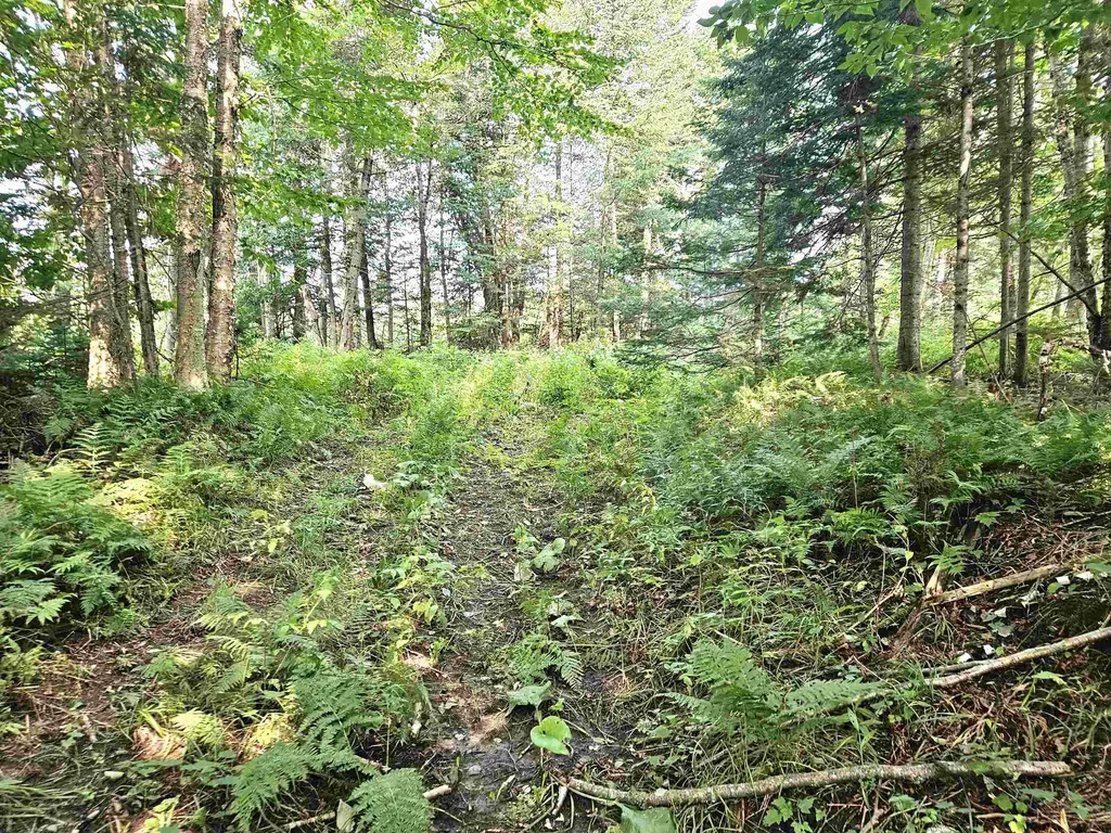 0 Andrews Road Holland VT 05830