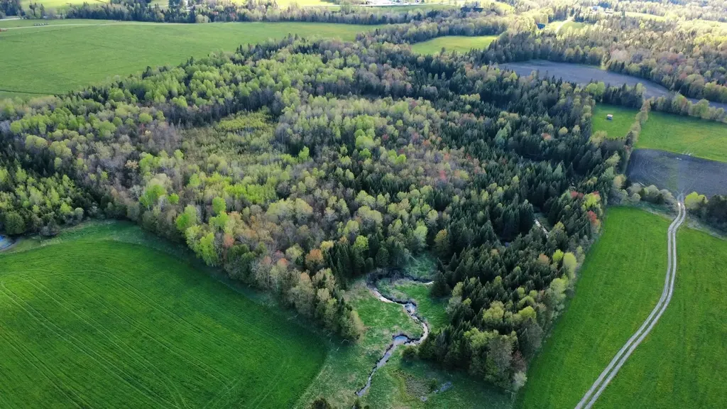 0 Andrews Road Holland VT 05830