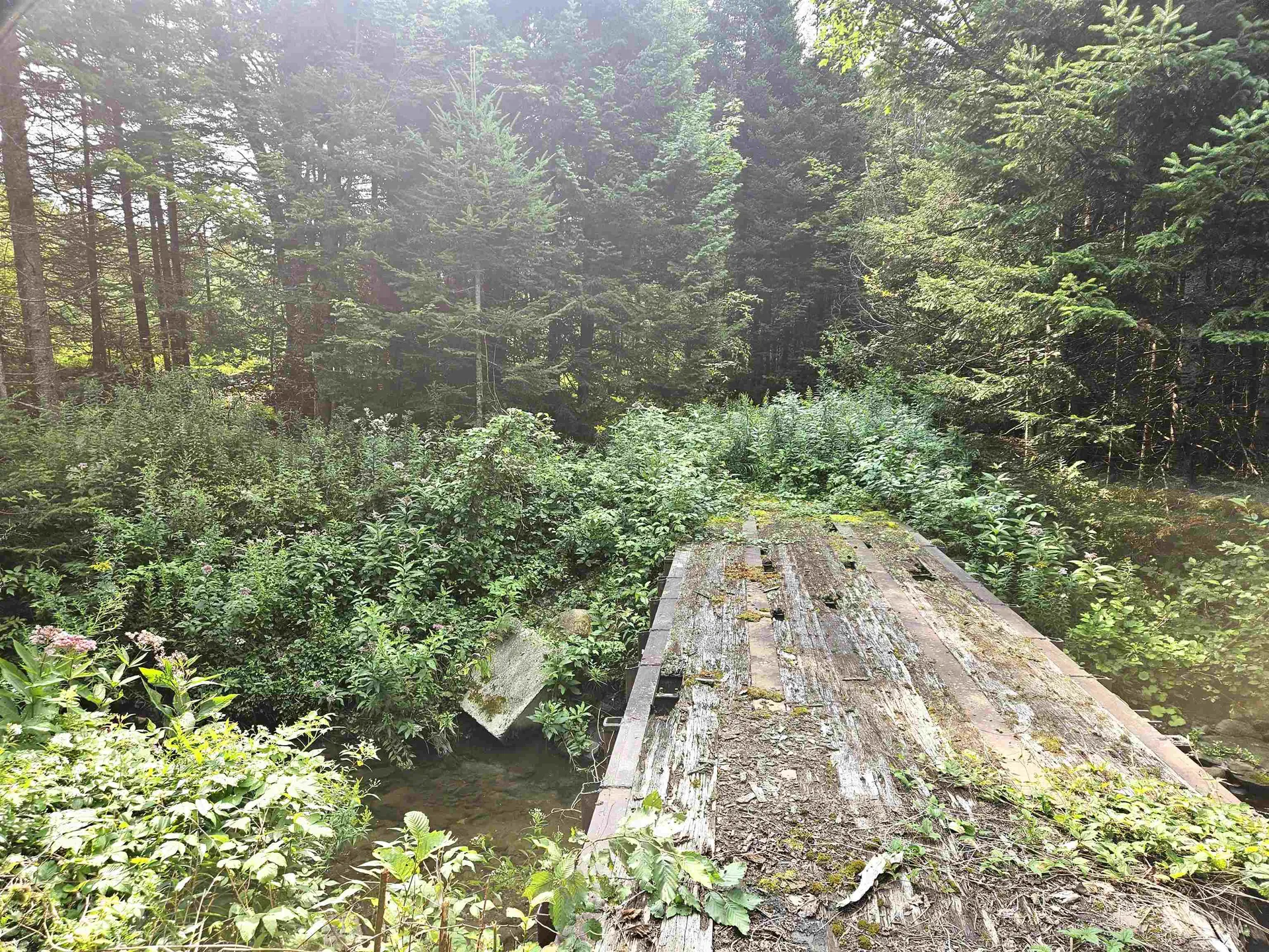 0 Andrews Road Holland VT 05830