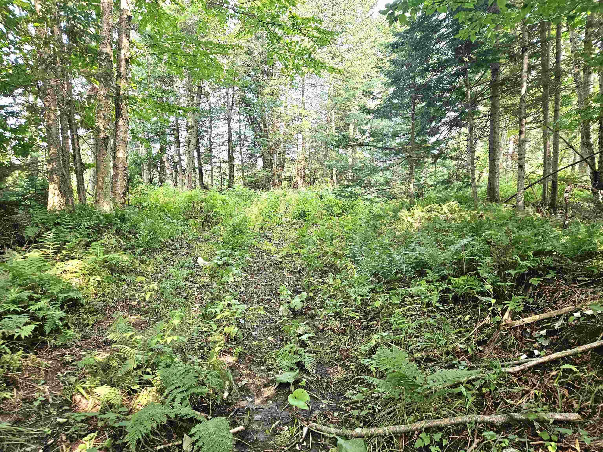 0 Andrews Road Holland VT 05830