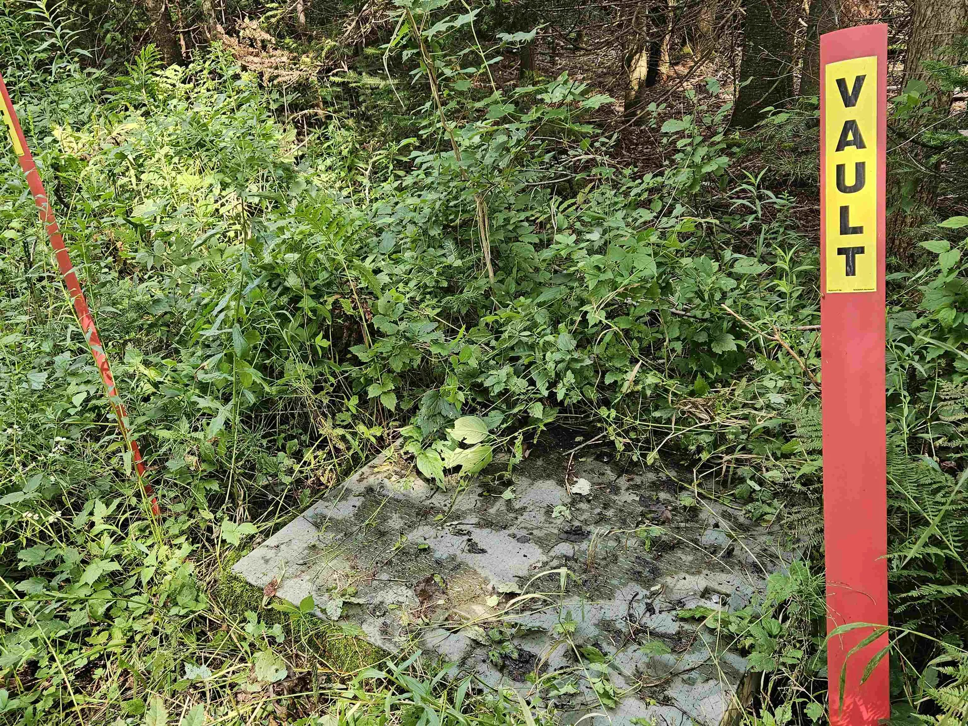 0 Andrews Road Holland VT 05830