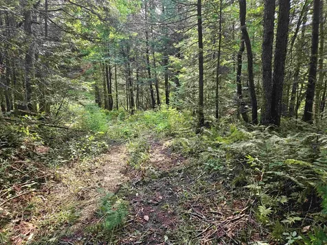 0 Andrews Road Holland VT 05830