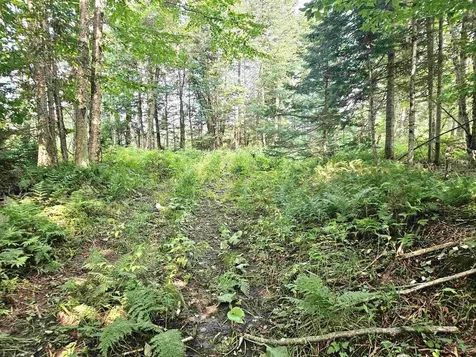 0 Andrews Road Holland VT 05830