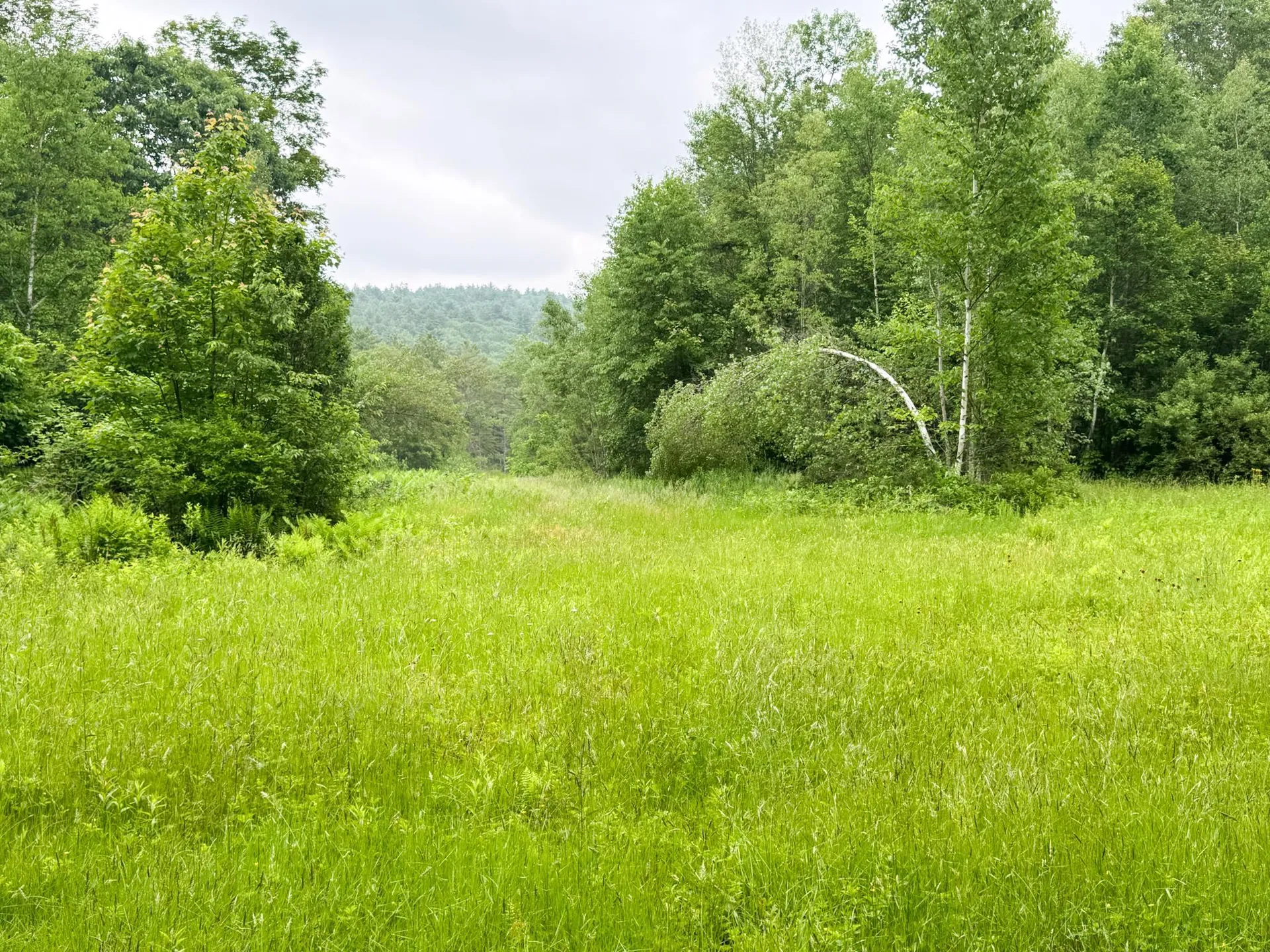 131 Eaton Grange Road Sutton NH 03278