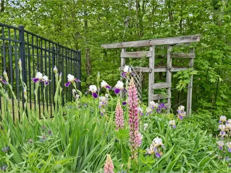 89 Carlson Road Worcester VT 05682