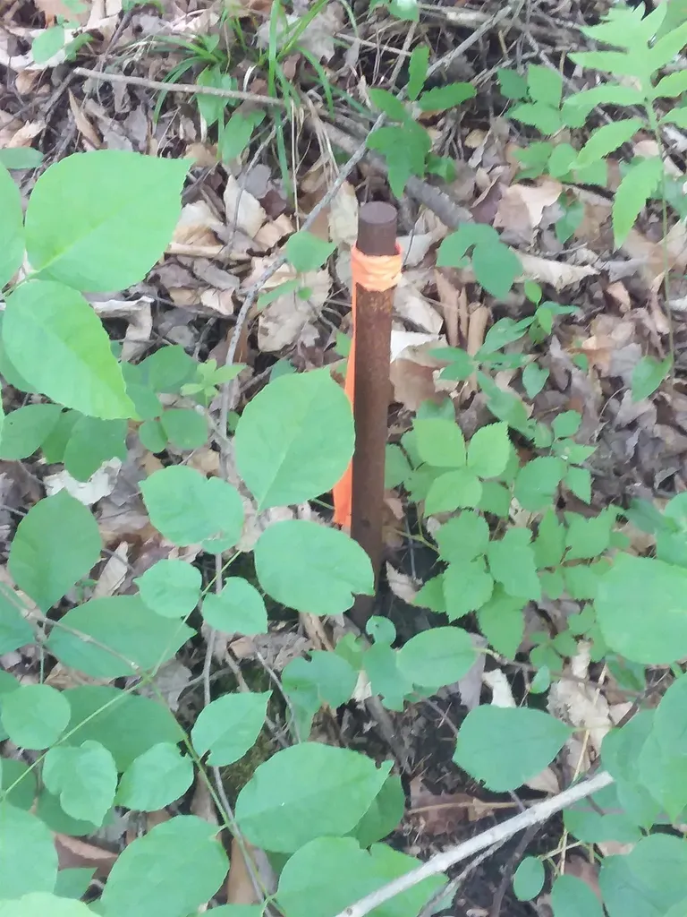 163 Oregon Road Concord VT 05824-0317