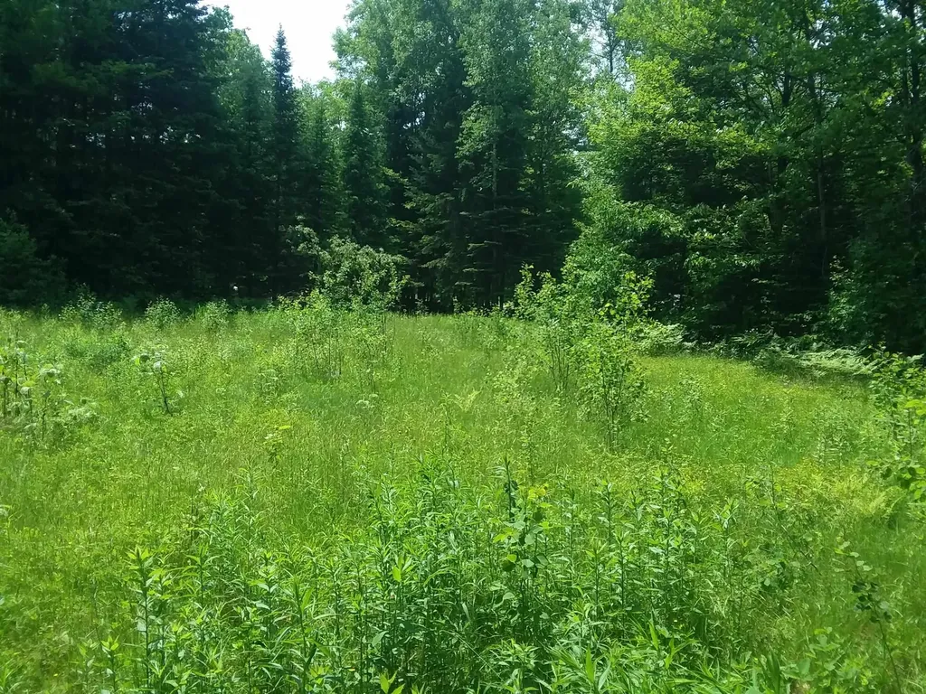 163 Oregon Road Concord VT 05824-0317