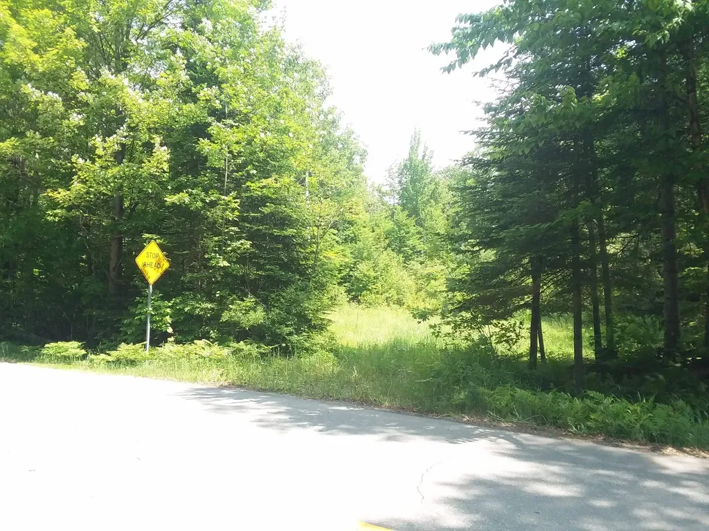 163 Oregon Road Concord VT 05824-0317