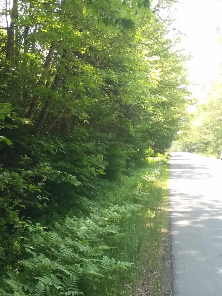 163 Oregon Road Concord VT 05824-0317