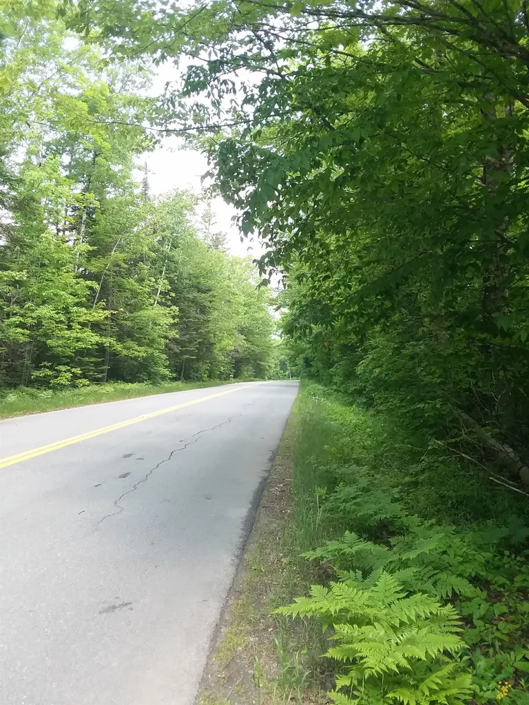 163 Oregon Road Concord VT 05824-0317