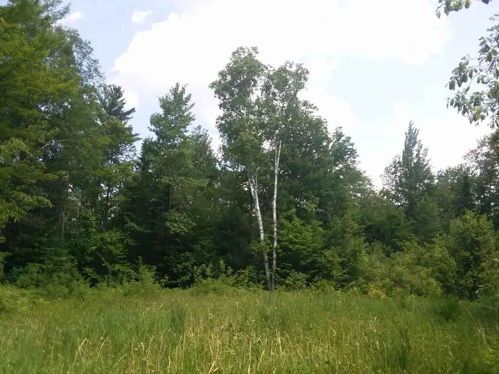 163 Oregon Road Concord VT 05824-0317