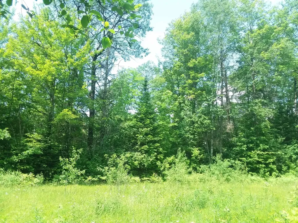 163 Oregon Road Concord VT 05824-0317