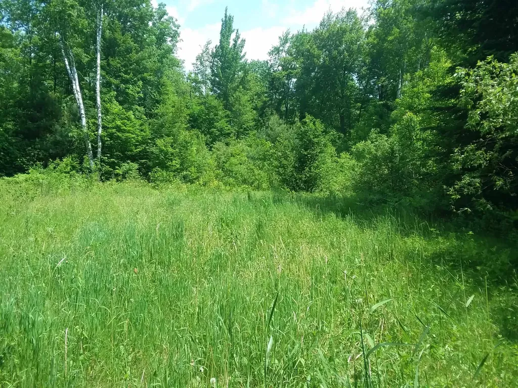 163 Oregon Road Concord VT 05824-0317