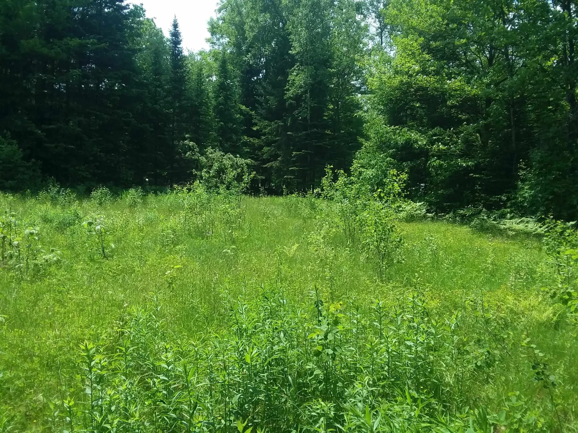 163 Oregon Road Concord VT 05824-0317