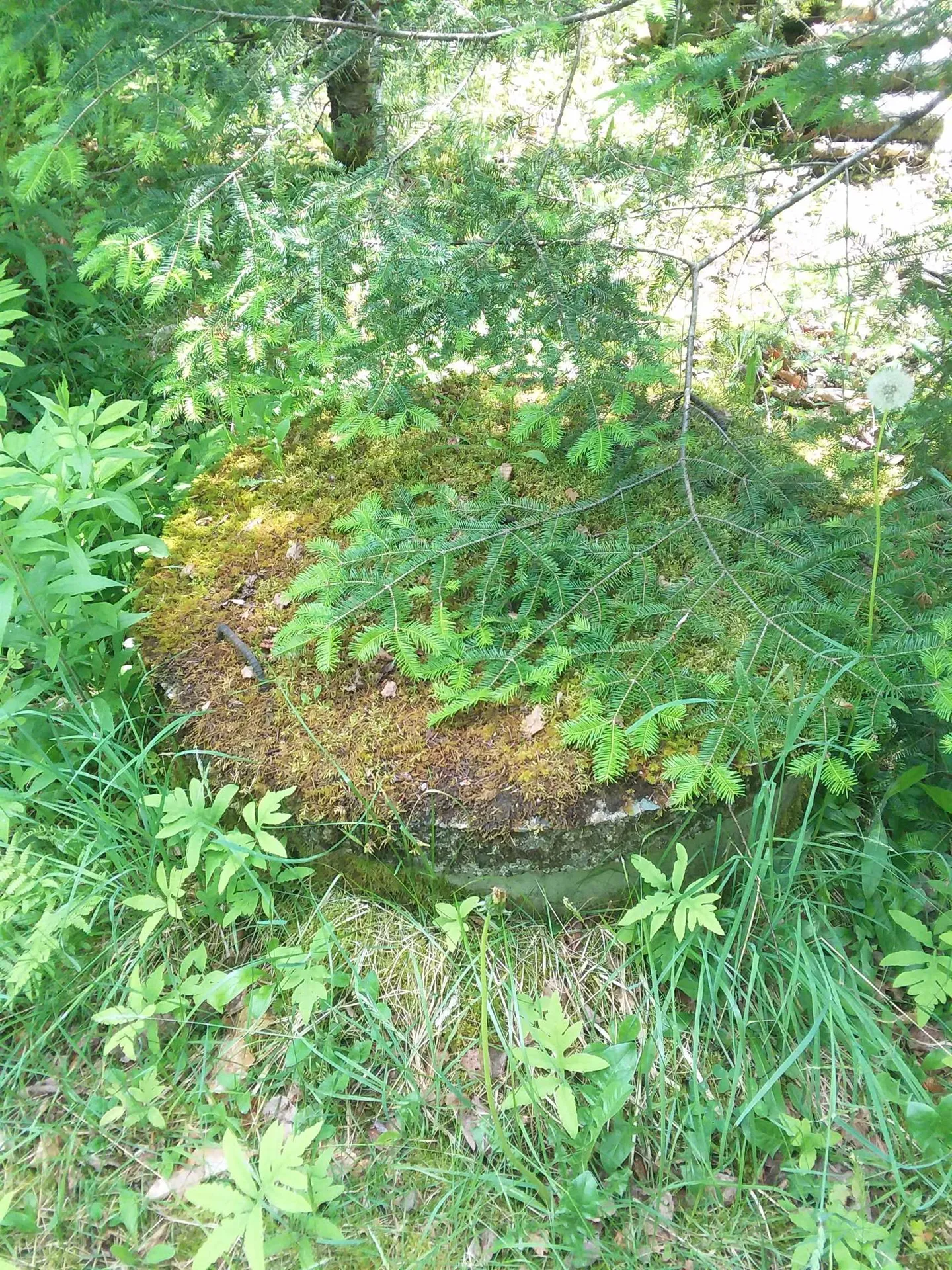 163 Oregon Road Concord VT 05824-0317