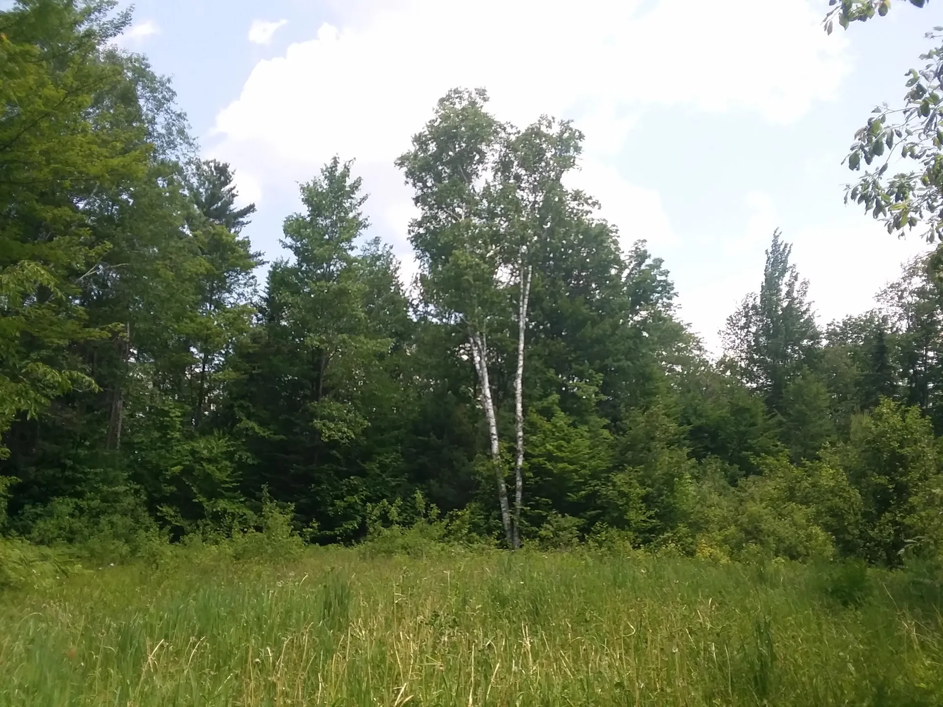 163 Oregon Road Concord VT 05824-0317