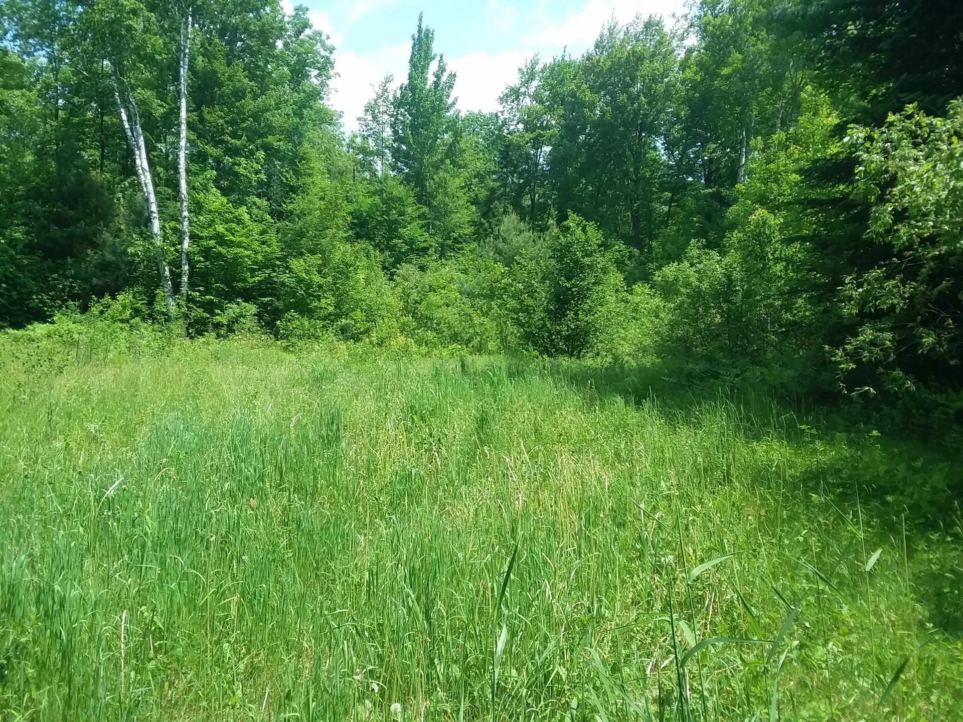 163 Oregon Road Concord VT 05824-0317