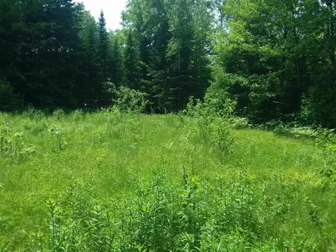 163 Oregon Road Concord VT 05824-0317