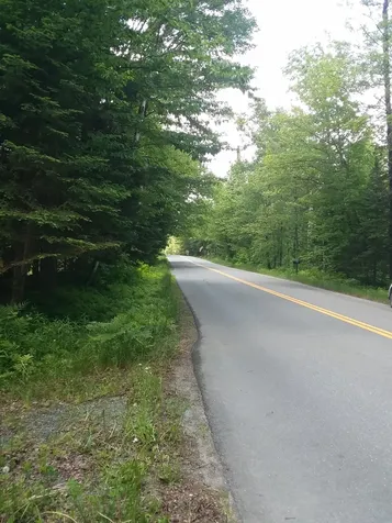 163 Oregon Road Concord VT 05824-0317