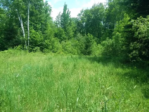 163 Oregon Road Concord VT 05824-0317