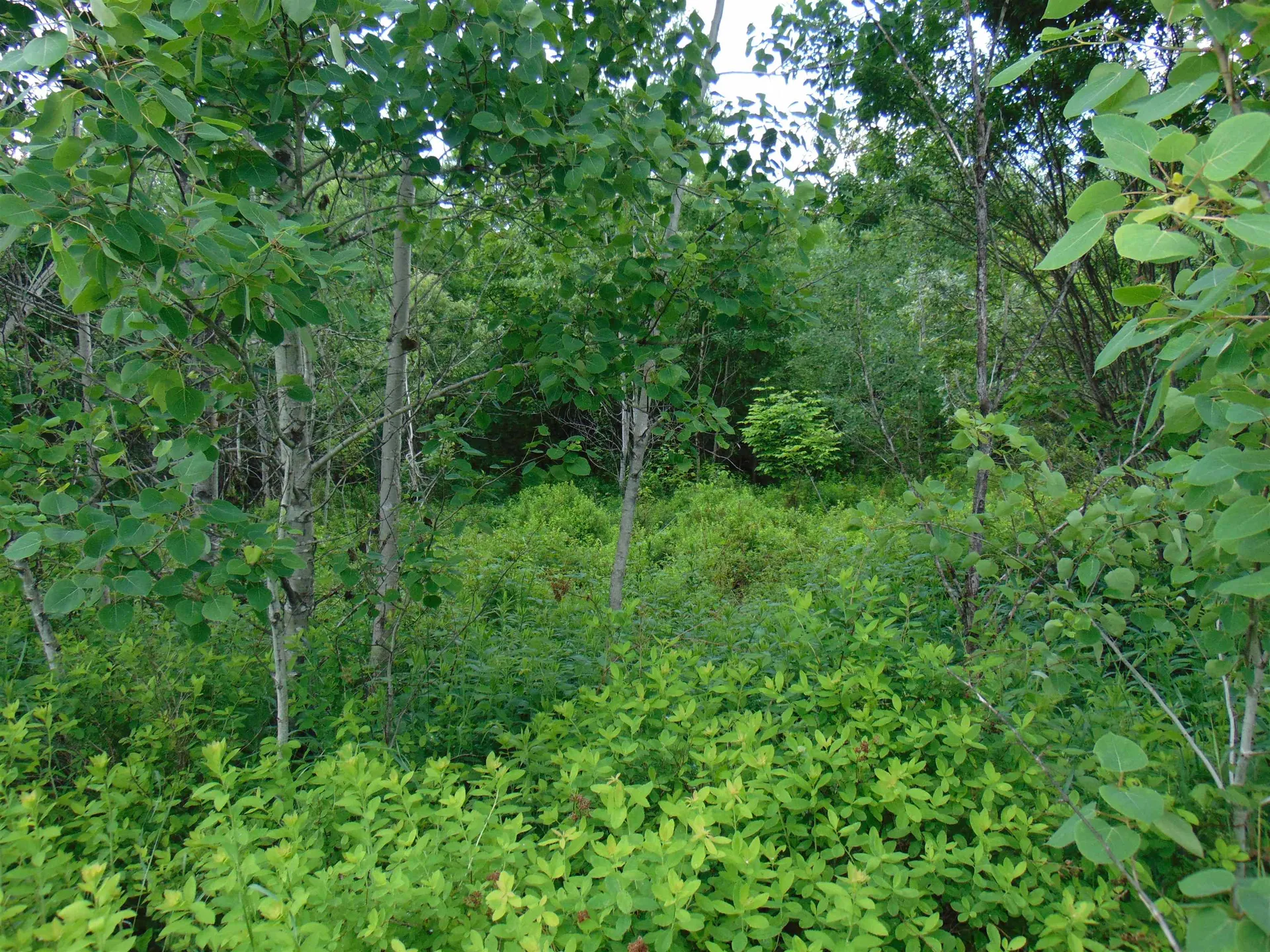 0 Walker Pit Road Concord VT 05824