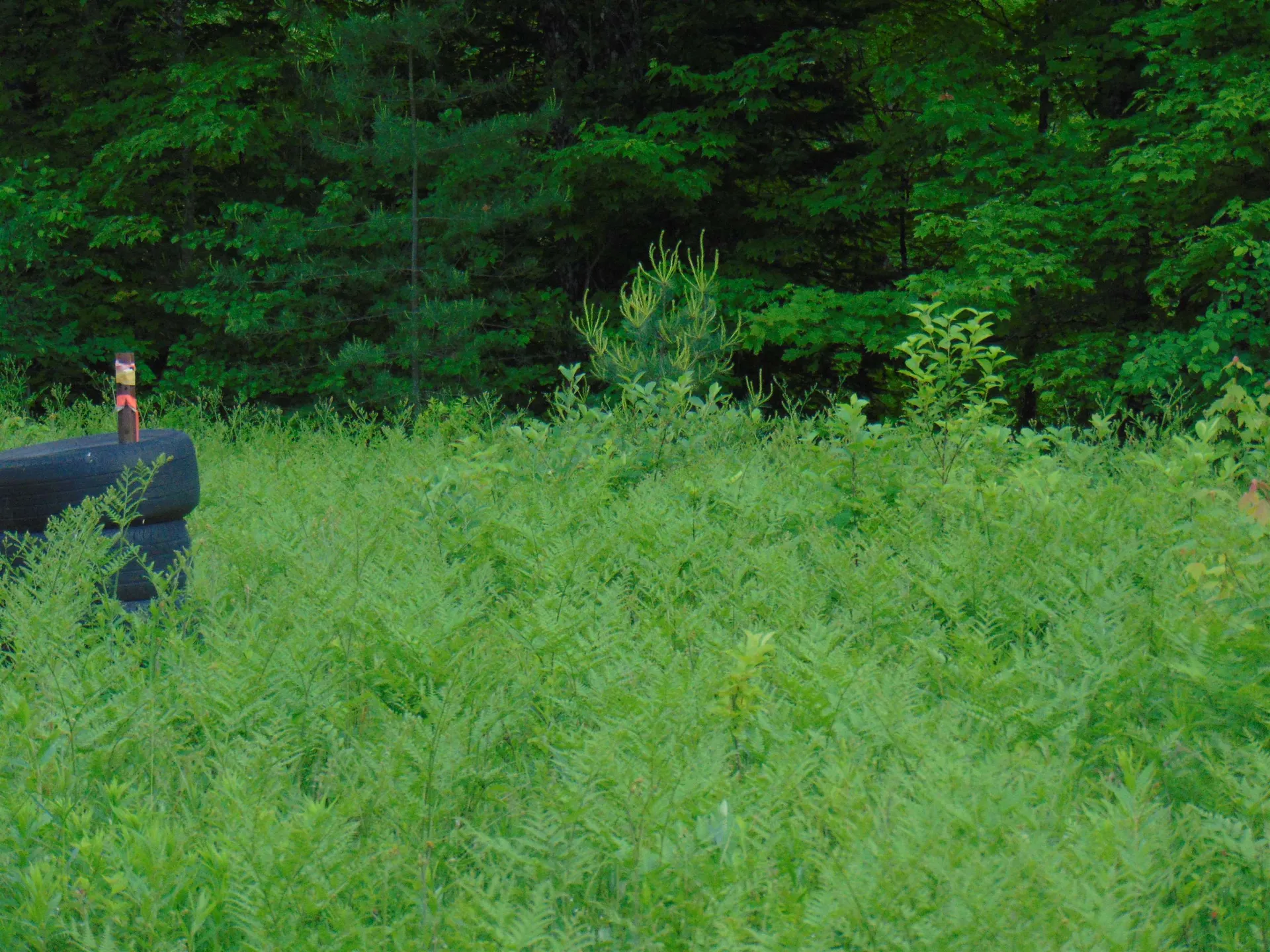 0 Walker Pit Road Concord VT 05824