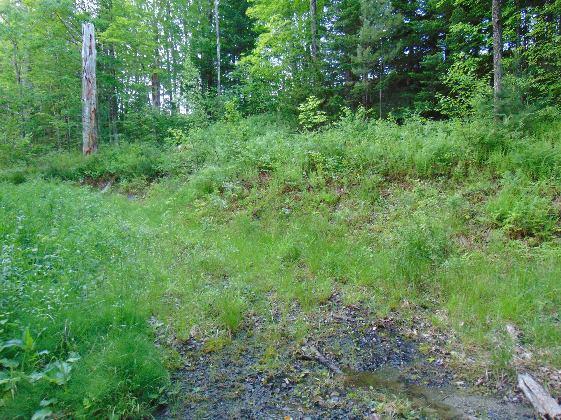 0 Walker Pit Road Concord VT 05824