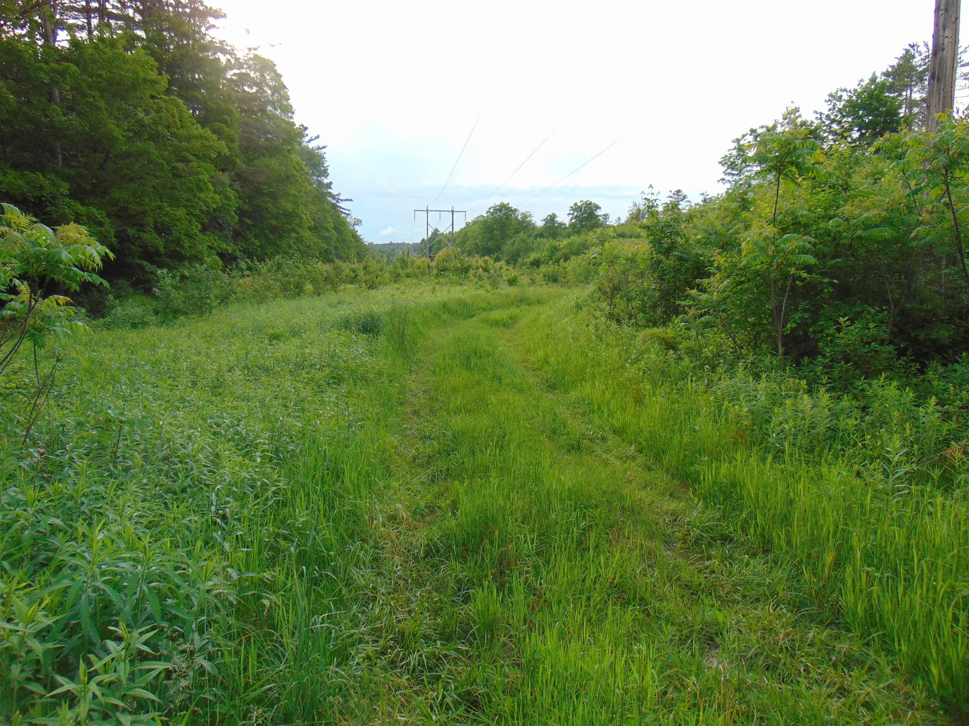 0 Walker Pit Road Concord VT 05824