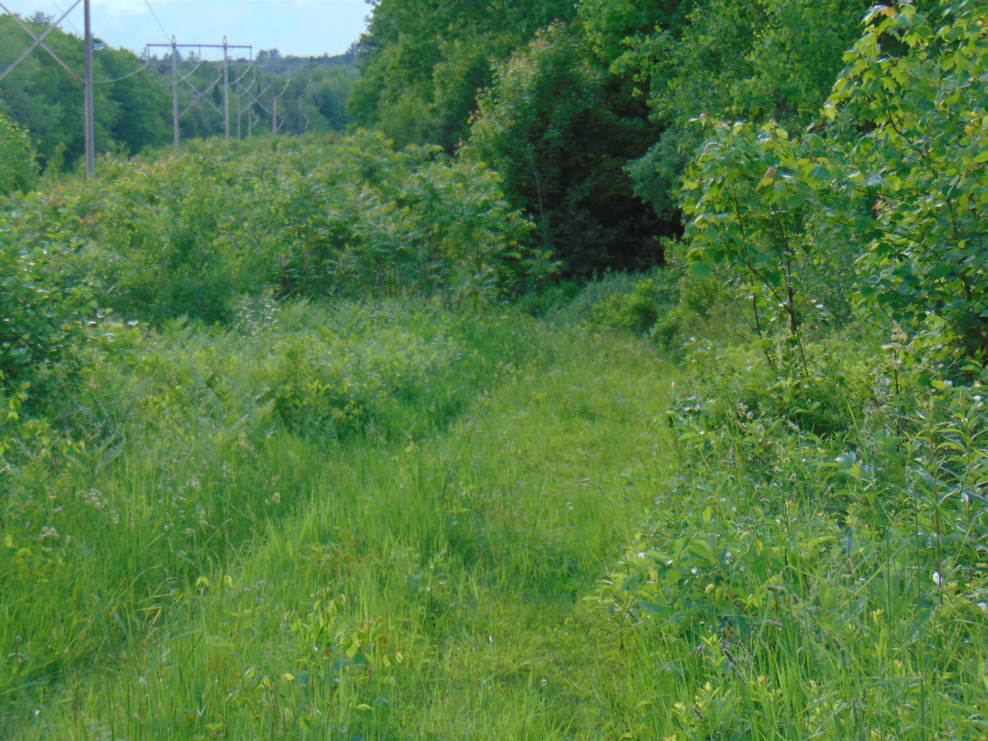 0 Walker Pit Road Concord VT 05824