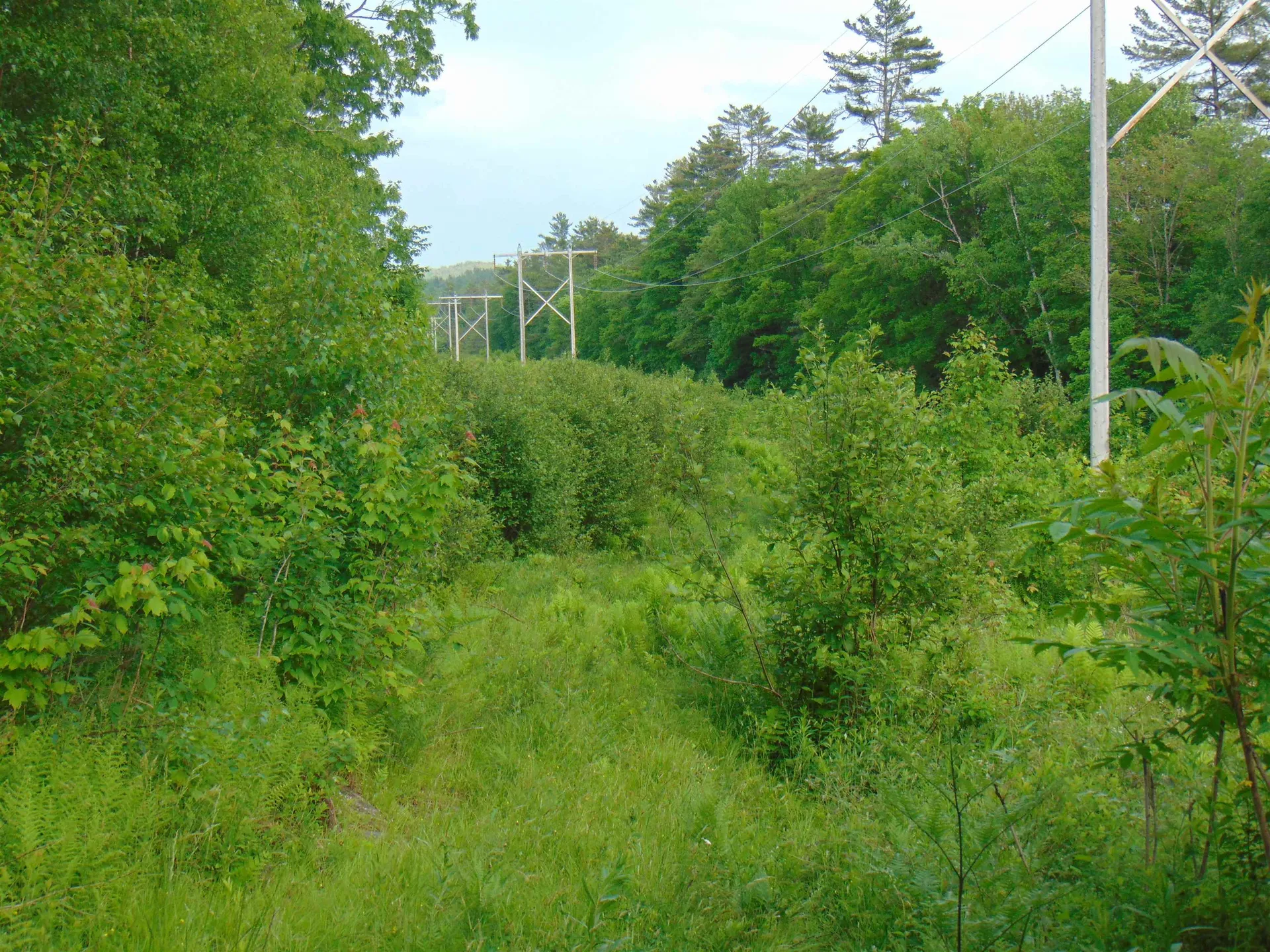 0 Walker Pit Road Concord VT 05824
