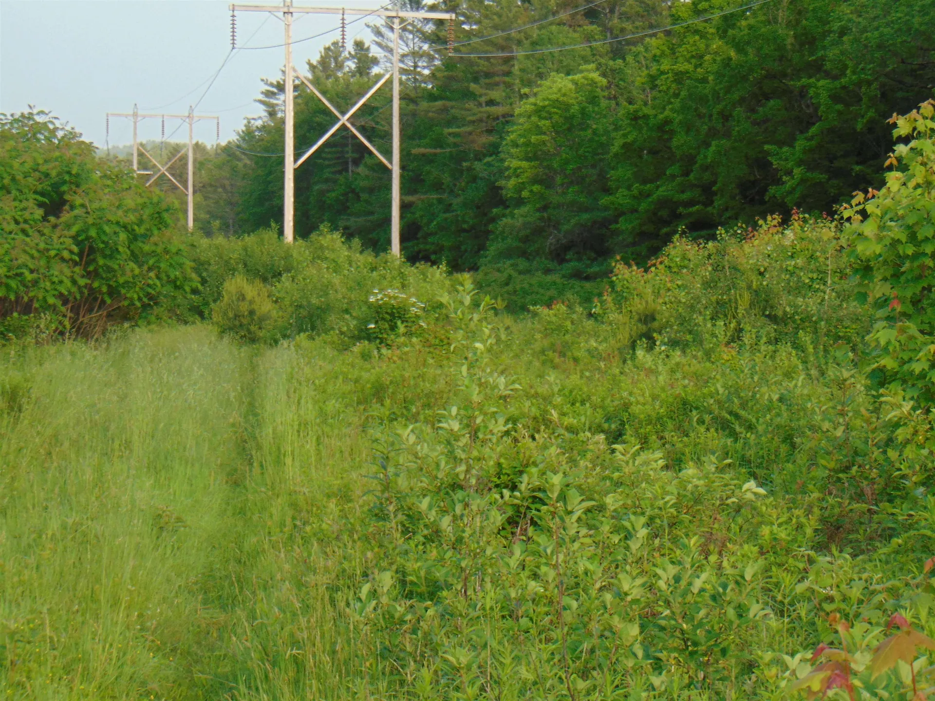 0 Walker Pit Road Concord VT 05824