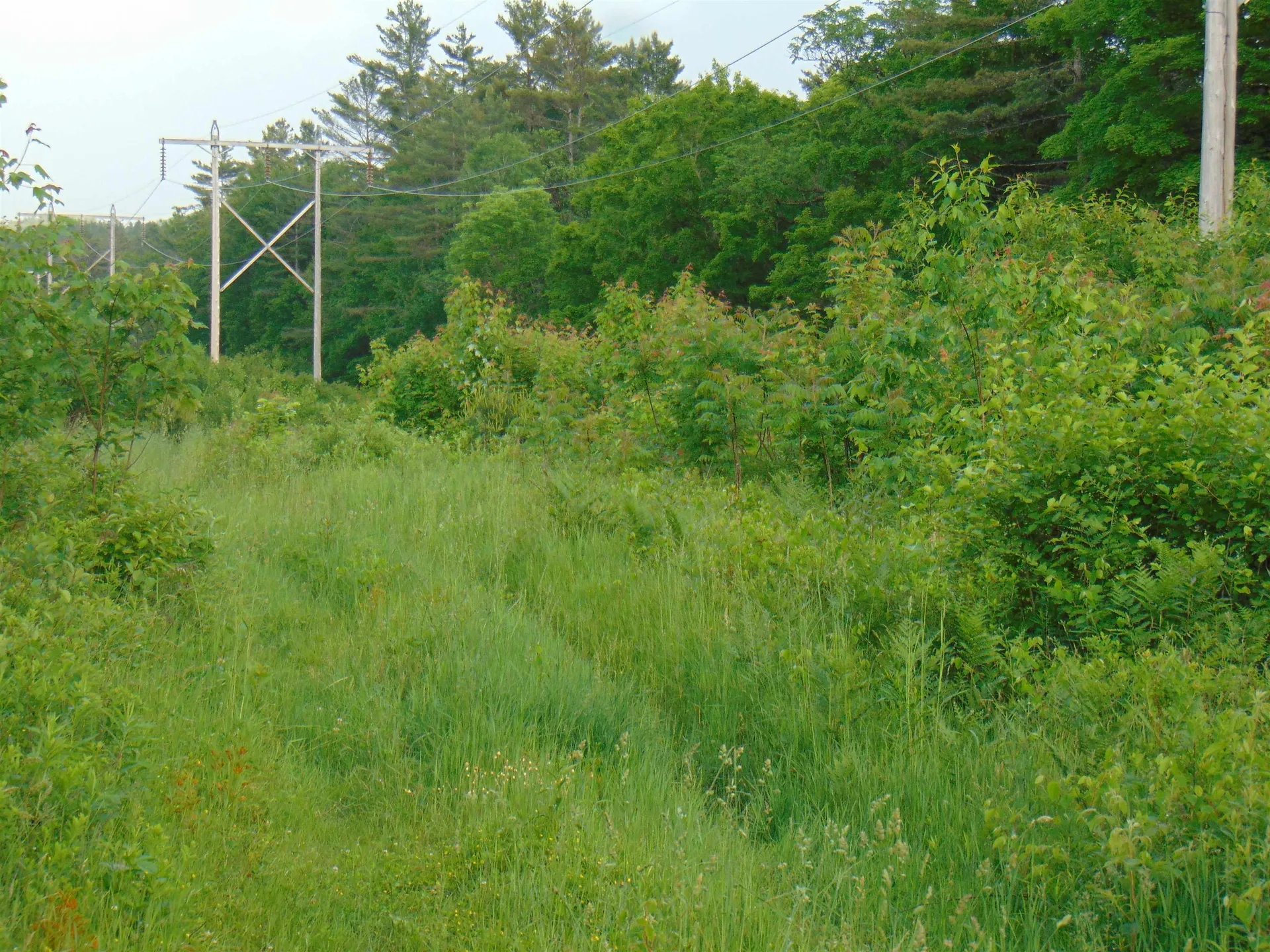 0 Walker Pit Road Concord VT 05824