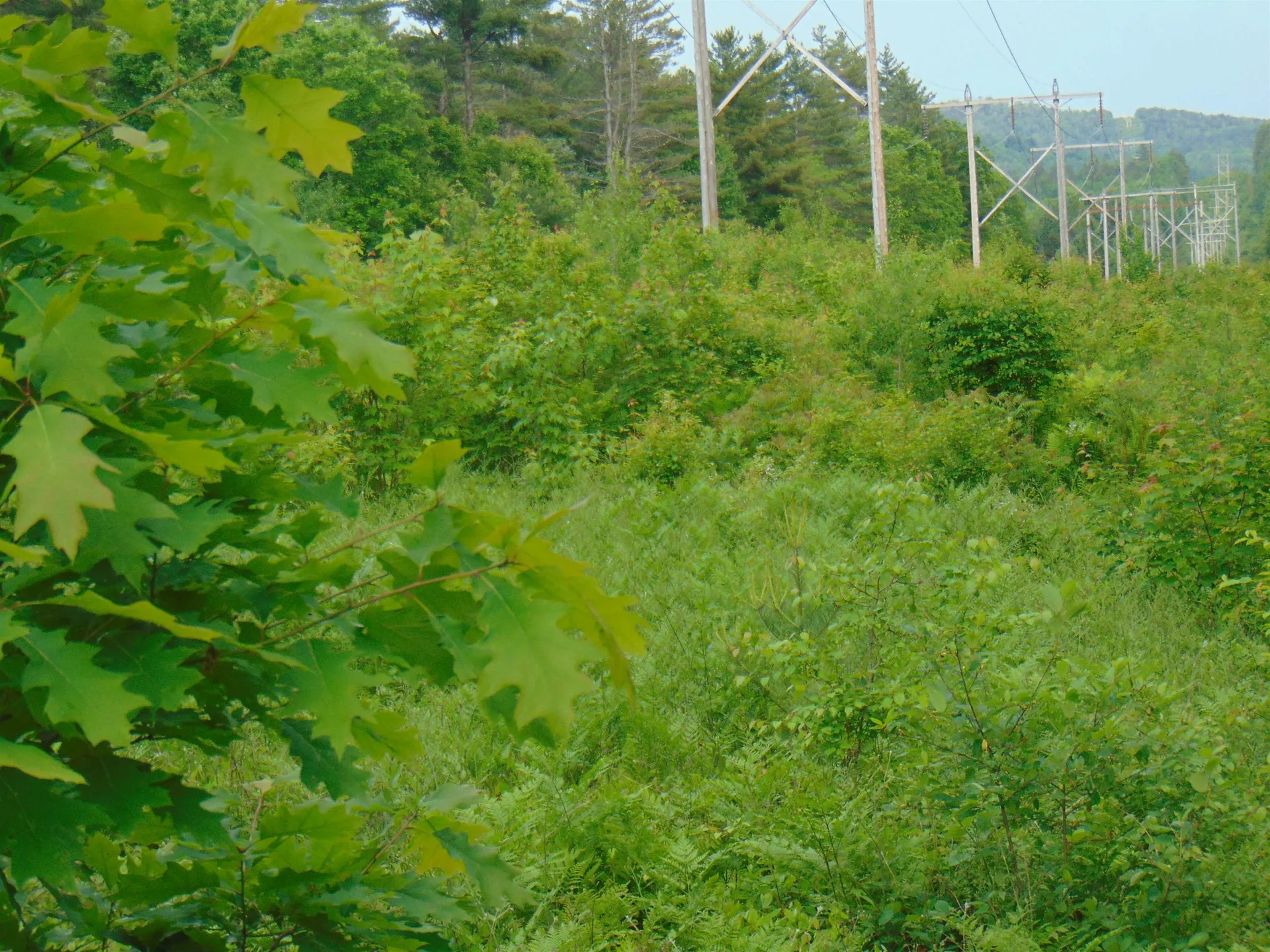 0 Walker Pit Road Concord VT 05824