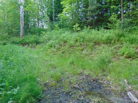 0 Walker Pit Road Concord VT 05824
