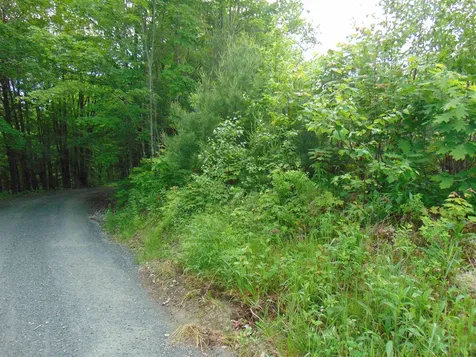 0 Walker Pit Road Concord VT 05824