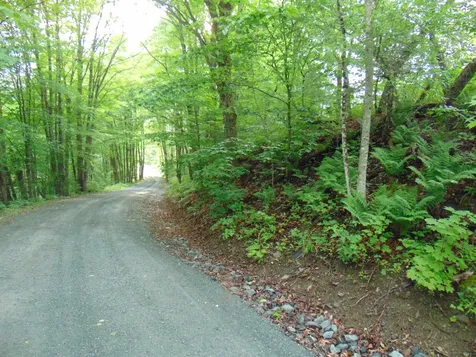 0 Walker Pit Road Concord VT 05824