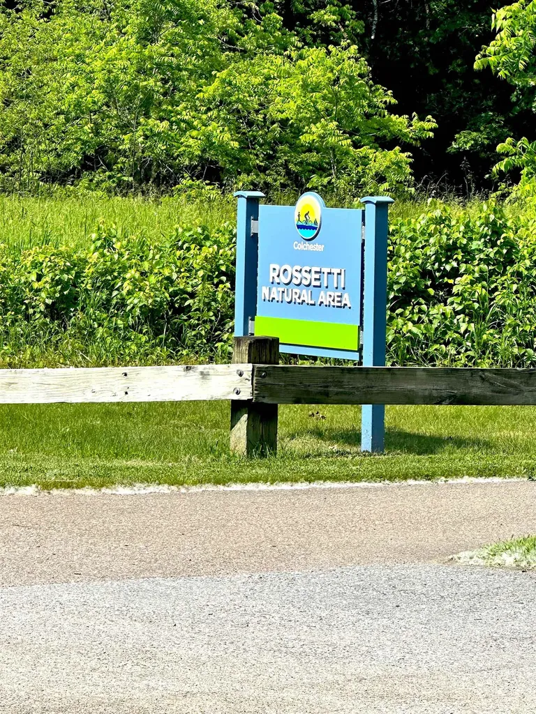 314 Red Oak Drive Colchester VT 05446