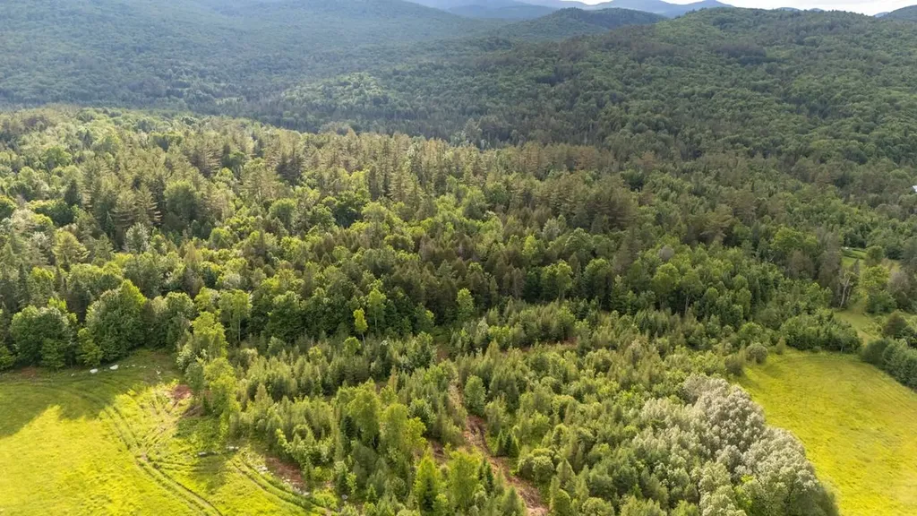 000 Jefferson Hill Road Newbury VT 05081