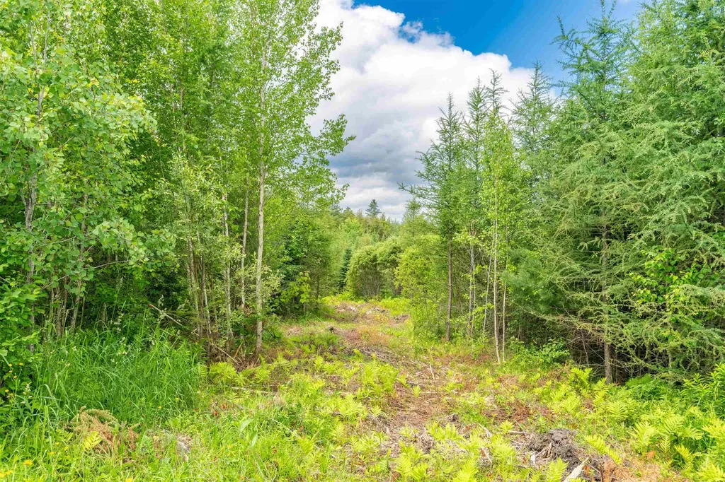 000 Jefferson Hill Road Newbury VT 05081