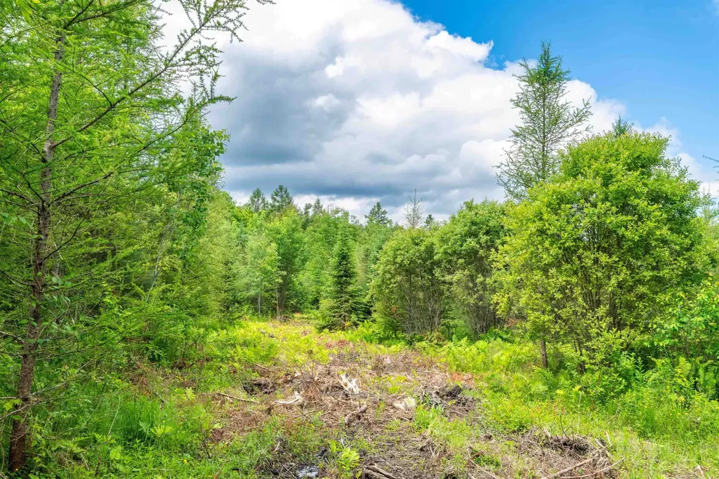 000 Jefferson Hill Road Newbury VT 05081