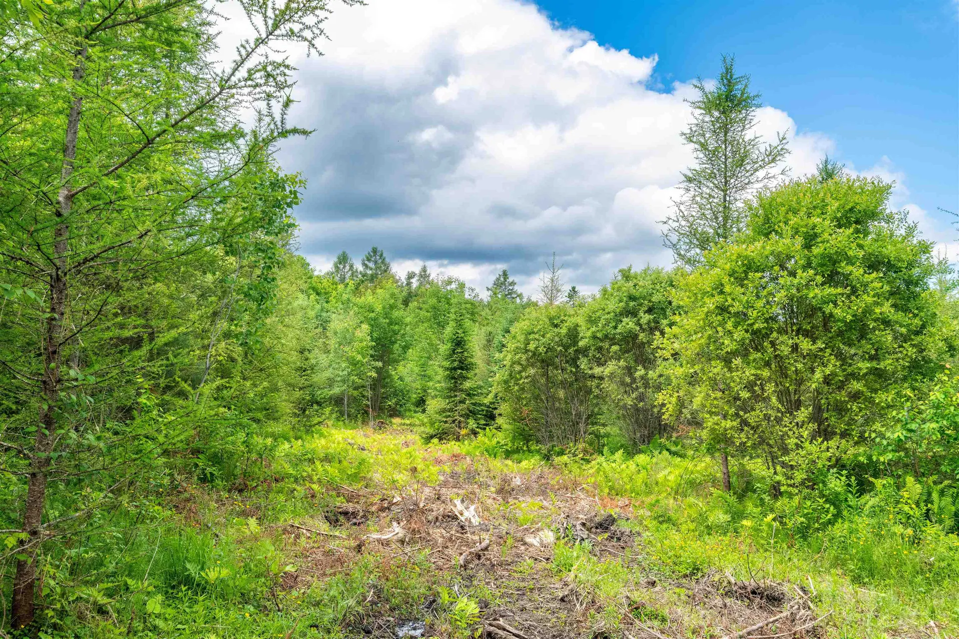 000 Jefferson Hill Road Newbury VT 05081