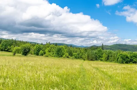 000 Jefferson Hill Road Newbury VT 05081