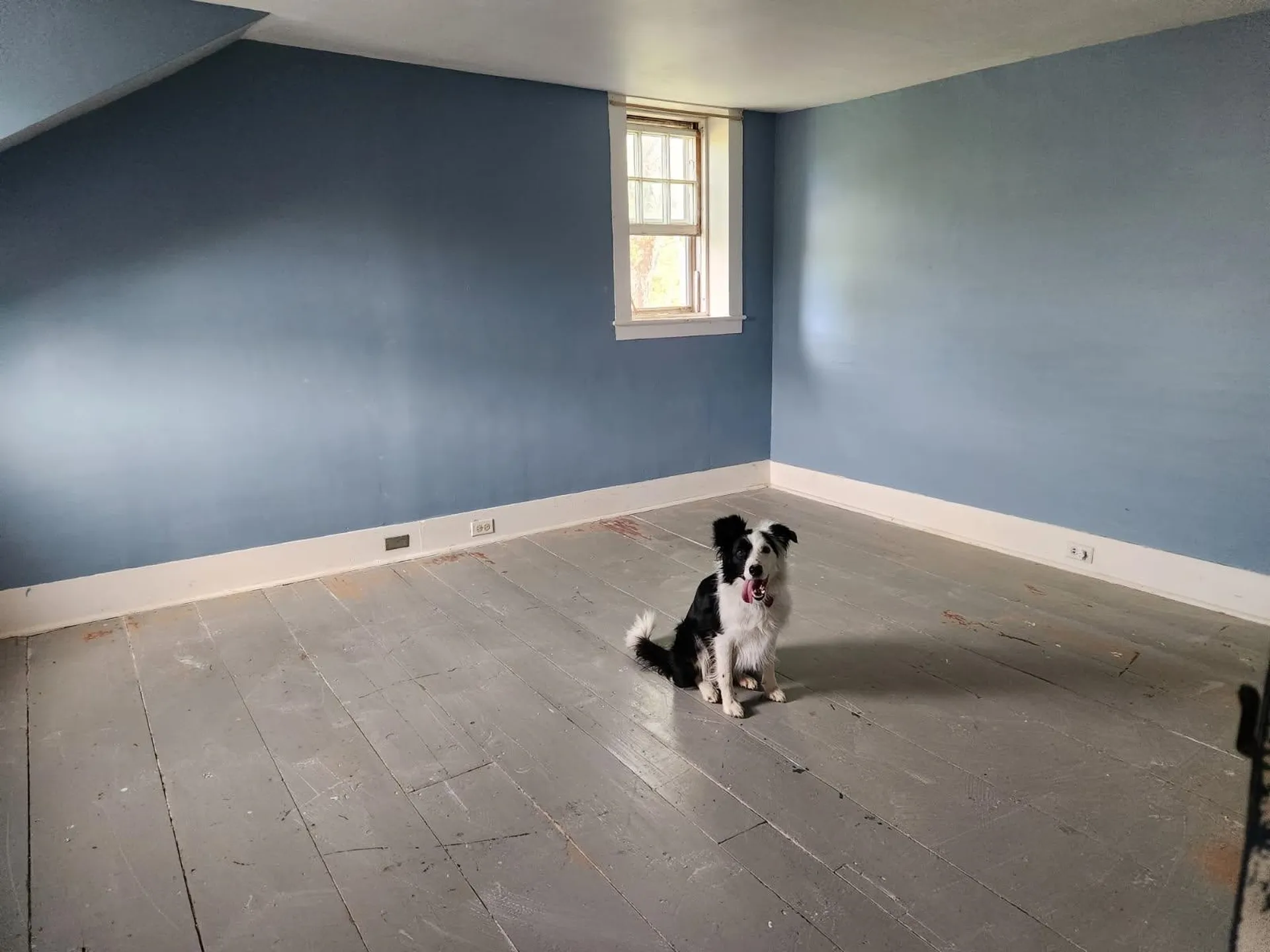 524 North Road Danbury NH 03230