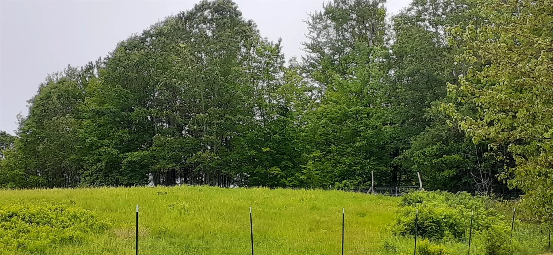 524 North Road Danbury NH 03230