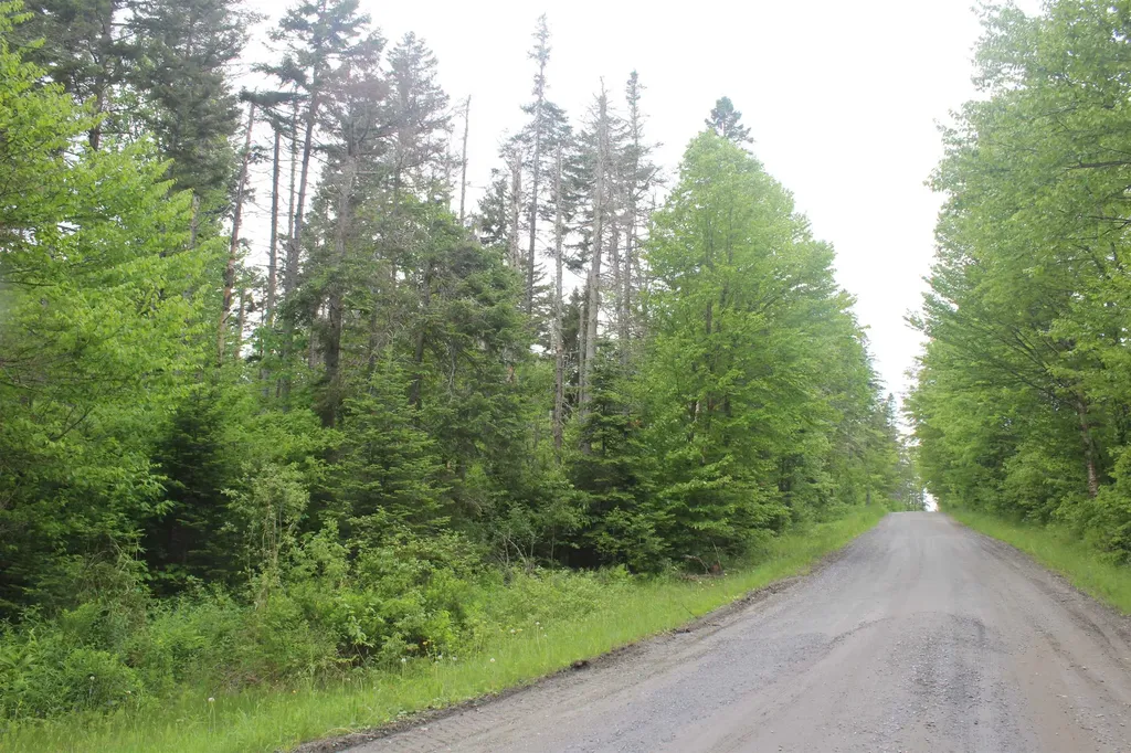 0 Cobb Road Walden VT 05873