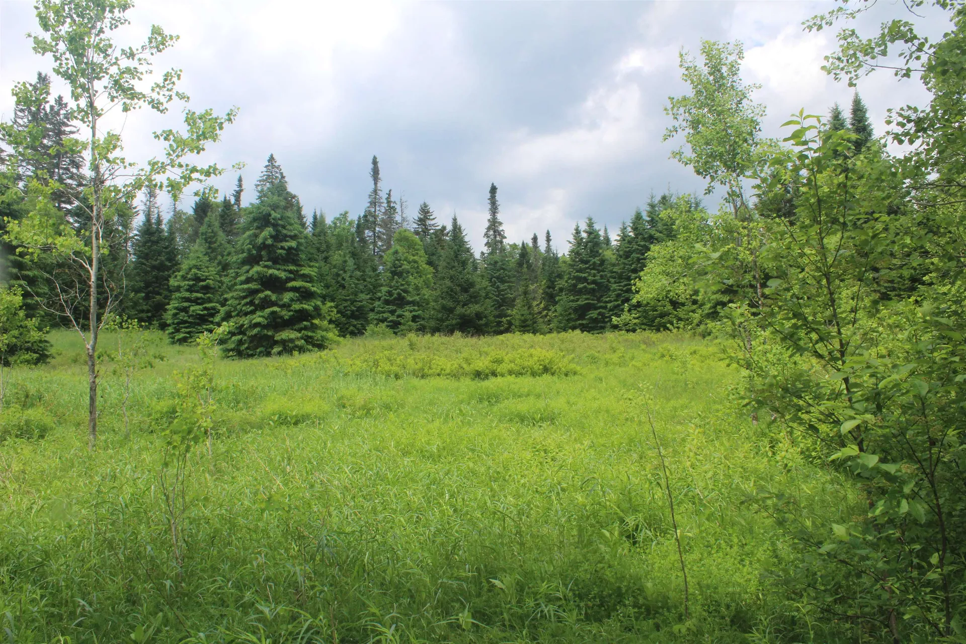 0 Cobb Road Walden VT 05873