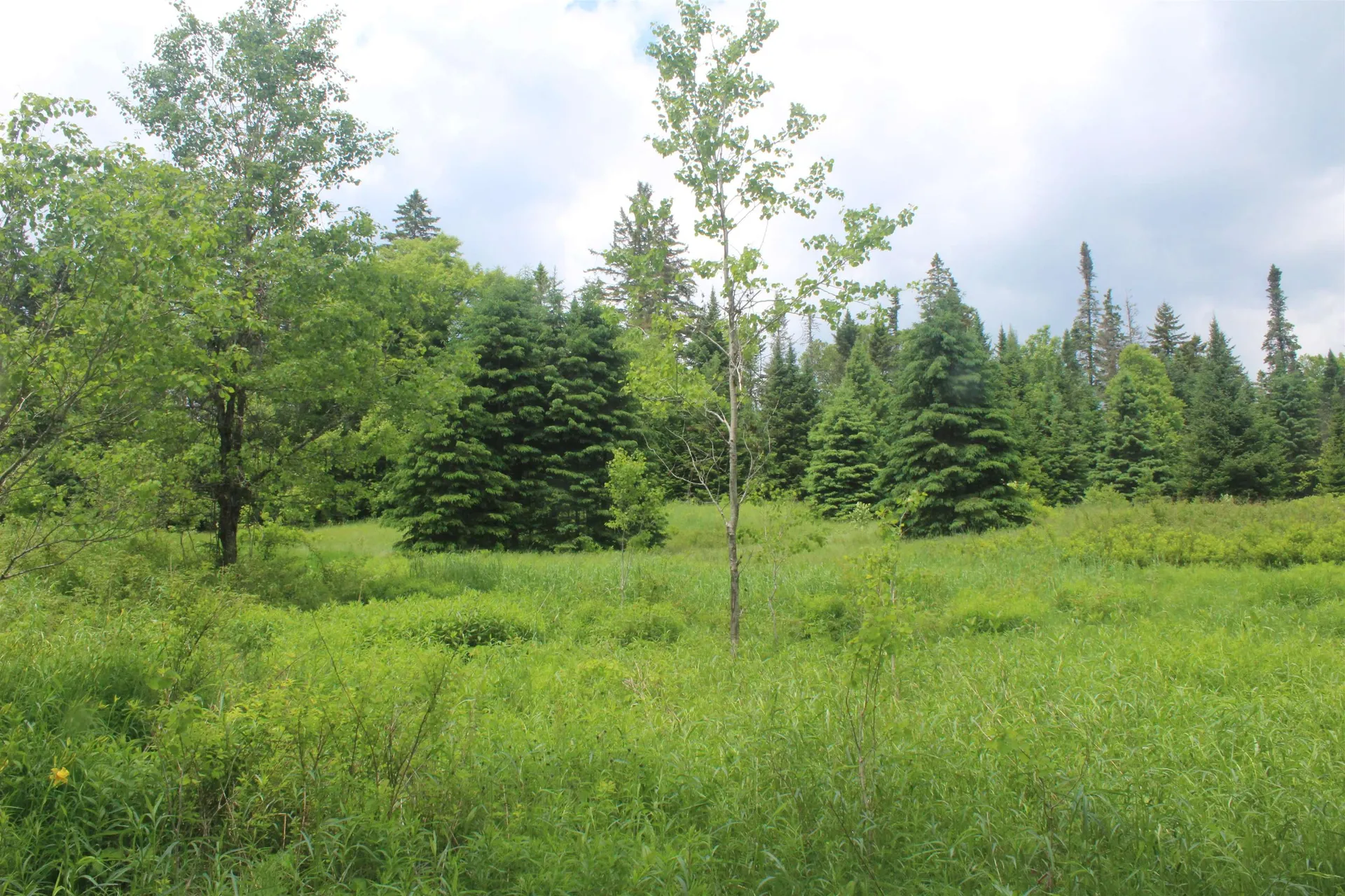 0 Cobb Road Walden VT 05873