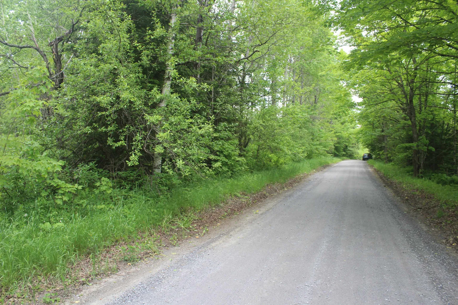 0 Cobb Road Walden VT 05873